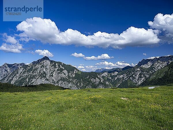 Postalm im Salzkammergut  Strobl  Salzburg  Österreich  Europa