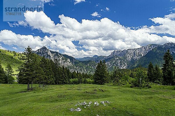 Postalm im Salzkammergut  Strobl  Salzburg  Österreich  Europa