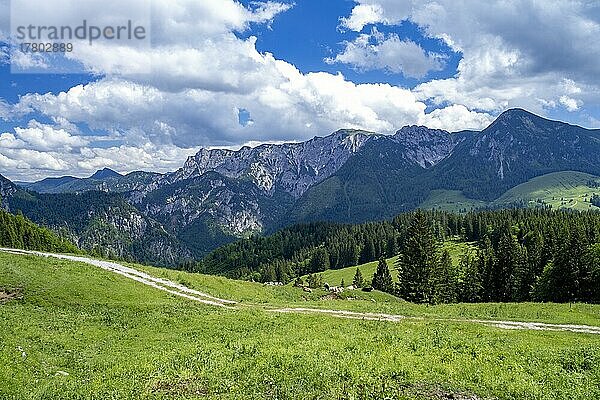 Postalm im Salzkammergut  Strobl  Salzburg  Österreich  Europa