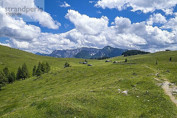 Postalm im Salzkammergut  Strobl  Salzburg  Österreich  Europa