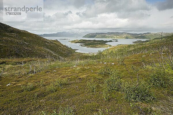 Fjell-Landschaft  Kvaloya  Norwegen  Europa