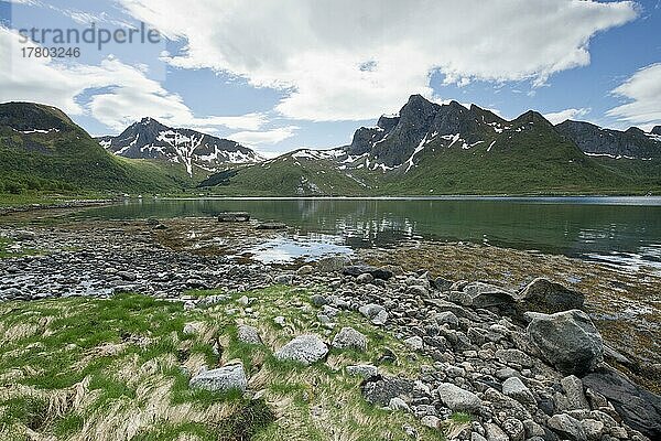 Strandlandschaft  Lofoten  Norwegen  Europa