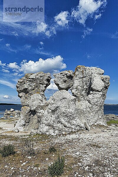 Raukar  Kalksteinsäulen  Felsen aus Riffkalk an der Küste  Erosion  unbewohnte Insel Asunden  bei Gotland  Ostsee  Schweden  Europa