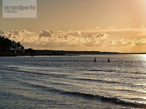 Zwei Personen  Silhouetten im Meer  genießen Abensonne  Sonnenuntergang im Sommer  Bucht von Ekeviken  Insel Fårö  Farö  Gotland  Ostsee  Schweden  Europa