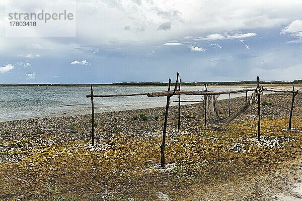 Netzgarten zum Trocknen der Fischernetze  traditionelle Fischerstelle  Fischerdorf  Helgumannen Fiskeläge  Insel Fårö  Farö  Gotland  Ostsee  Schweden  Europa