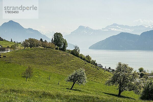 Panorama mit See und Bergen  Kapelle Eggisbühl  hinten Pilatus  Hertenstein  bei Weggis  Vierwaldstättersee  Kanton Luzern  Schweiz  Europa