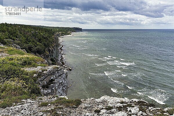 Kliffküste Högklint im Sommer  Riffkalkstein  Visby  Westküste  Insel Gotland  Schweden  Europa