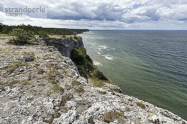 Kliffküste Högklint im Sommer  Riffkalkstein  Visby  Westküste  Insel Gotland  Schweden  Europa