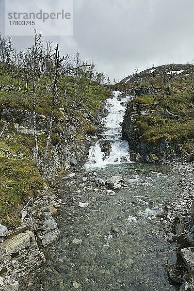 Bergbach  Lofoten  Norwegen  Europa