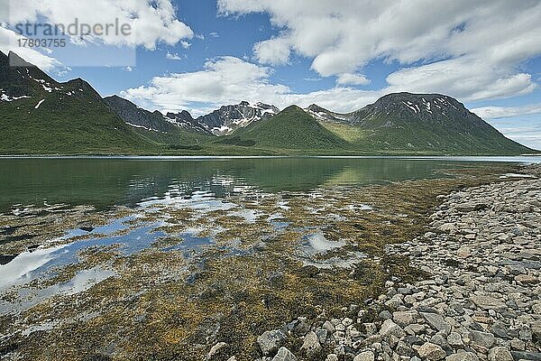 Strandlandschaft  Lofoten  Norwegen  Europa