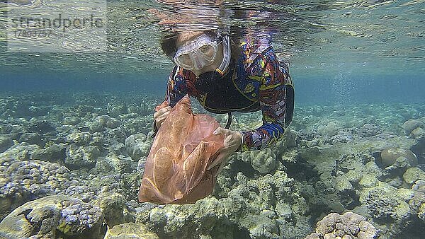 Frau in Tauchausrüstung schwimmt und sammelt Plastikmüll unter Wasser auf dem Boden des Korallenriffs. Schnorchler säubert den Ozean von Plastikverschmutzung. Plastikverschmutzung des Ozeans. Rotes Meer  Ägypten  Afrika