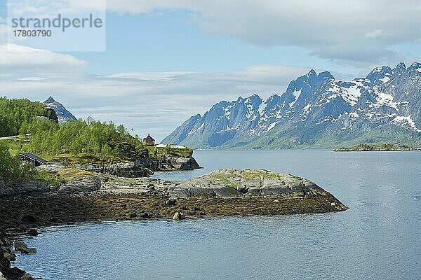 Landschaft am Fjord  Lofoten  Norwegen  Europa