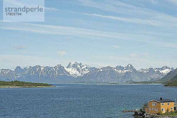 Landschaft am Fjord  Lofoten  Norwegen  Europa