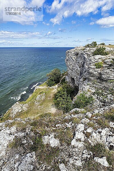 Kliffküste Högklint im Sommer  Riffkalkstein  Visby  Westküste  Insel Gotland  Schweden  Europa