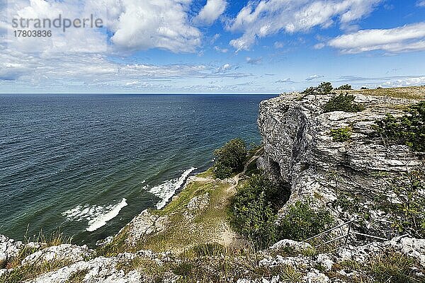 Kliffküste Högklint im Sommer  Riffkalkstein  Visby  Westküste  Insel Gotland  Schweden  Europa