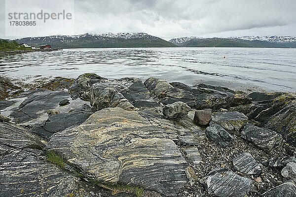 Felsiger Strand  Lofoten  Norwegen  Europa