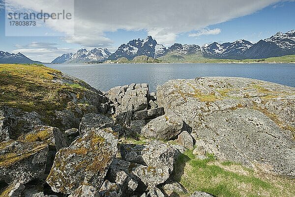 Felsiger Strand  Lofoten  Norwegen  Europa