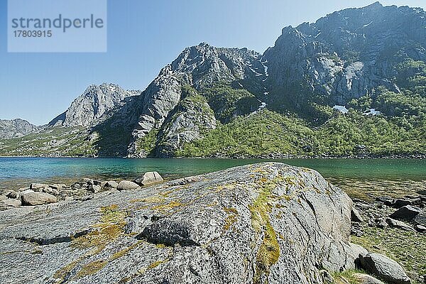 Felsiger Strand  Lofoten  Norwegen  Europa