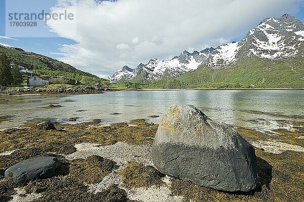 Strandlandschaft  Lofoten  Norwegen  Europa