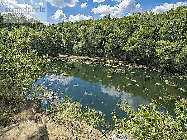 Vogelsberger See  Mühlheim am Mein  Hessen  Deutschland  Europa