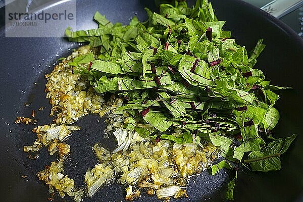 Schwäbische Küche  Zubereitung deftige Krapfen  Blutampfer (Rumex sanguineus) (Rumex sanguineus var. sanguineus)  Sauerampfer in Pfanne anbraten  Zwiebelstücke  Kräuter  gesund  Kräuterküche  Heilkräuter  Vitamine  Herstellung der Sauerampfer-Creme für Kräpfle mit Sauerampfer  vegetarisch  Traditionsküche  typisch Schwäbisch neu interpretiert  Foodfotografie  Studio  Deutschland  Europa