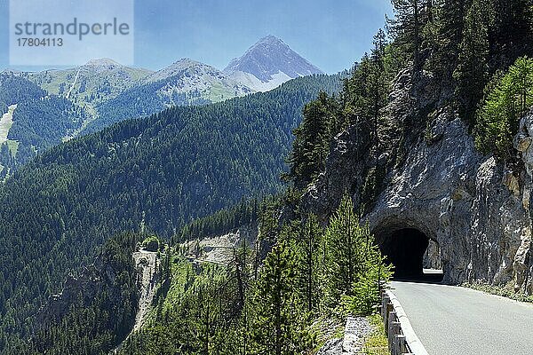 Bergstraße mit Tunnel an steiler Felswand mit Baumbewuchs  Névache  Département Hautes-Alpes  Region Provence-Alpes-Côte d?Azur  Frankreich  Europa