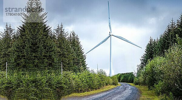 Windmühle auf dem Feld  Windmühle mit Solaranlagen  nachwachsende Rohstoffe für die Umwelt Gifhorn  Deutschland  Europa