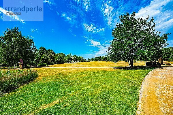 Eine Wiese mit vereinzelten Bäumen im Sommer bei blauen Himmel im Park der Sinne  Laatzen  Niedersachsen  Deutschland  Europa