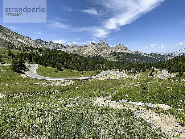 Blick über wilde Alpenwiese auf kurvige Alpenstraße Bergstraße vor Col de l Izoard  Cottische Alpen  Route des Grandes Alpes  Département Hautes-Alpes  Frankreich  Europa