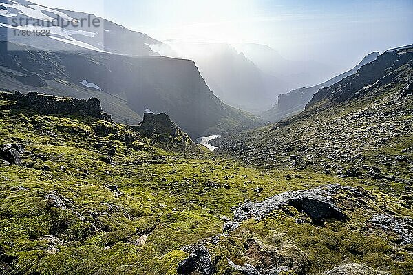 Blühendes Moos  Ausblick auf Schlucht und Berggipfel zwischen mit Nebel bedecktem Tal  Wanderweg Fimmvörðuháls  Heljarkambur  Þórsmörk Nature Reserve  Suðurland  Island  Europa