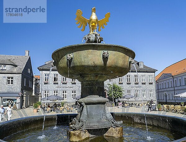 Goldener Adler auf dem Marktbrunnen vor dem Kaiserringhaus am Marktplatz  Goslar  Harz  Niedersachsen  Deutschland  Europa