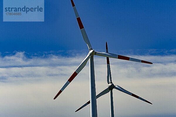 Windräder  Holle  Niedersachsen  Deutschland  Europa