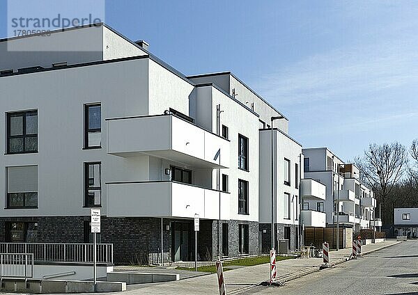 Mehrfamilienhäuser in einem Neubaugebiet  Gelsenkirchen  Ruhrgebiet  Nordrhein-Westfalen  Deutschland  Europa