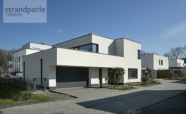 Einfamilienhäuser in einem Neubaugebiet  Gelsenkirchen  Ruhrgebiet  Nordrhein-Westfalen  Deutschland  Europa