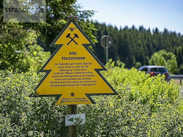 Schild in Form einer Tanne an der Alten Harzstraße zwischen Zellerfeld und Goslar  Hahnenklee-Bockswiese  Harz  Niedersachsen  Deutschland  Europa