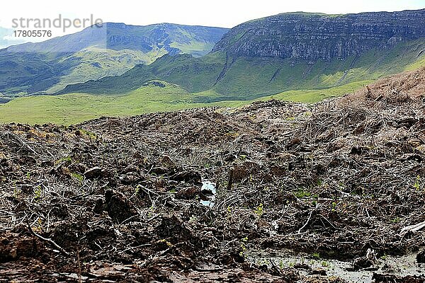 Innere Hebriden  Isle of Skye  Trotternish Halbinsel  Waldrodung  Kahlschlag  am Storrmassiv  Rodung  Schottland  Großbritannien  Europa