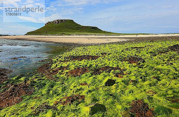 Innere Hebriden  Isle of Skye  Duirinish Halbinsel  Landschaft am Coral Beach bei Claigan  Schottland  Großbritannien  Europa