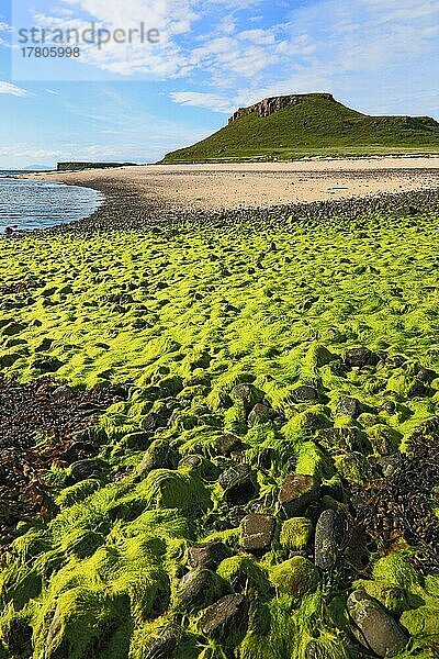 Innere Hebriden  Isle of Skye  Duirinish Halbinsel  Landschaft am Coral Beach bei Claigan  Grünalgen im Vordergrund  Schottland  Großbritannien  Europa