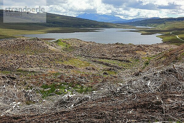 Innere Hebriden  Isle of Skye  Trotternish Halbinsel  Waldrodung  Kahlschlag  am Storrmassiv  Rodung  Schottland  Großbritannien  Europa