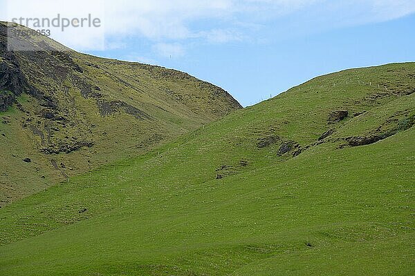 Bewachsene Berge an der Südküste bei Vík Í Mýrdal  Island  Europa