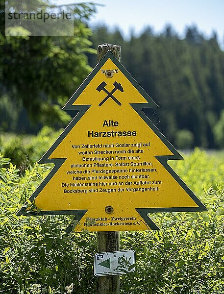 Schild in Form einer Tanne an der Alten Harzstraße zwischen Zellerfeld und Goslar  Hahnenklee-Bockswiese  Harz  Niedersachsen  Deutschland  Europa