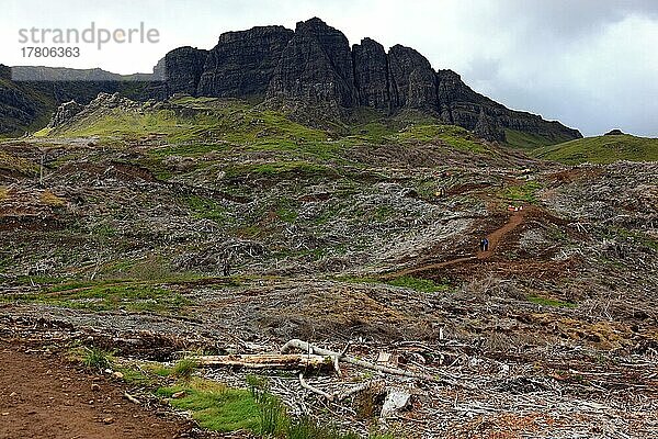 Innere Hebriden  Isle of Skye  Trotternish Halbinsel  Waldrodung  Kahlschlag  Wegebau am Storrmassiv  Rodung  Schottland  Großbritannien  Europa