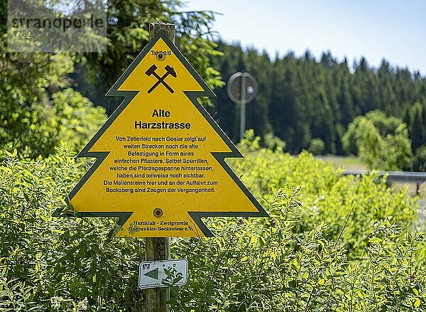 Schild in Form einer Tanne an der Alten Harzstraße zwischen Zellerfeld und Goslar  Hahnenklee-Bockswiese  Harz  Niedersachsen  Deutschland  Europa