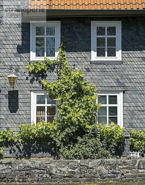 Mit Schieferschindeln bedeckte Fassade einer ehemaligen Gaststätte am Auerhahnteich  Hahnenklee-Bockswiese bei Goslar  Harz  Niedersachsen  Deutschland  Europa