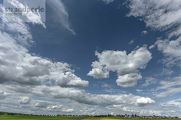 Fränkische Landschaft mit Baumallee  Wolkenhimmel  rechts Kalchreuth  Mittelfranken  Bayern  Deutschland  Europa