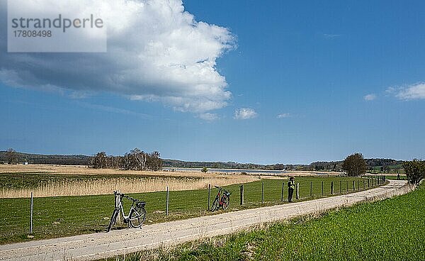 Landschaft auf Rügen  Mecklenburg-Vorpommern  Deutschland  Europa