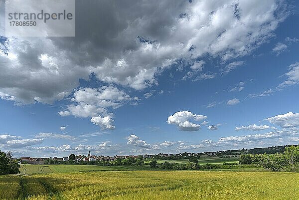 Blick auf Kalchreuth  vorne ein Gerstenfeld  Mittelfranken  Bayern  Deutschland  Europa