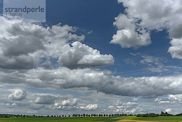 Fränkische Landschaft mit Baumallee  Wolkenhimmel  Kalchreuth  Mittelfranken  Bayern  Deutschland  Europa