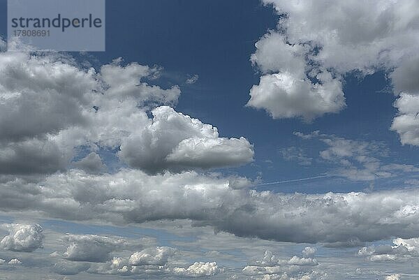 Schichthaufenwolken (Stratocumulus)  Bayern  Deutschland  Europa