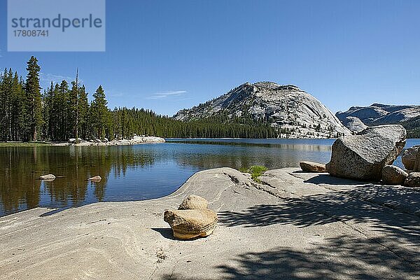 Morgenstimmung am Tenaya Lake See im Yosemite Nationalpark  Kalifornien  USA  Nordamerika